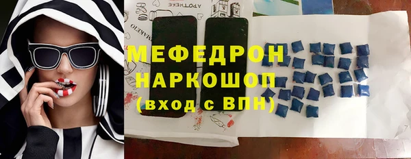 стаф Губаха
