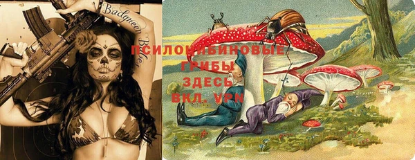 крисы Покачи