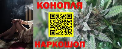 МДПВ Бийск