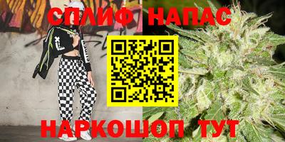 МДПВ Бийск