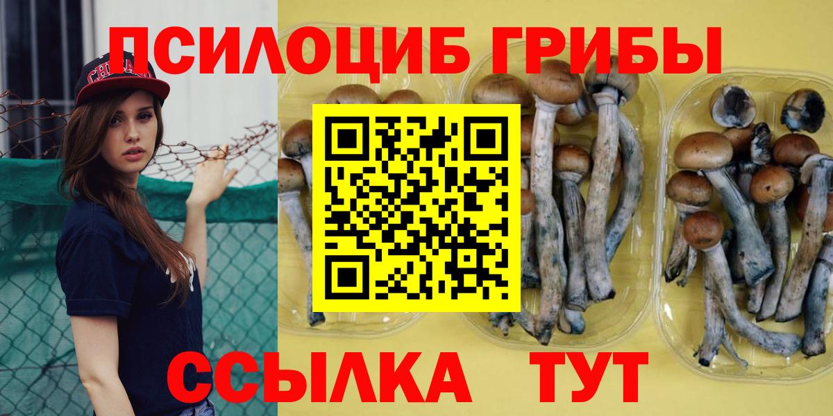 Галлюциногенные грибы прущие грибы  Гуково 