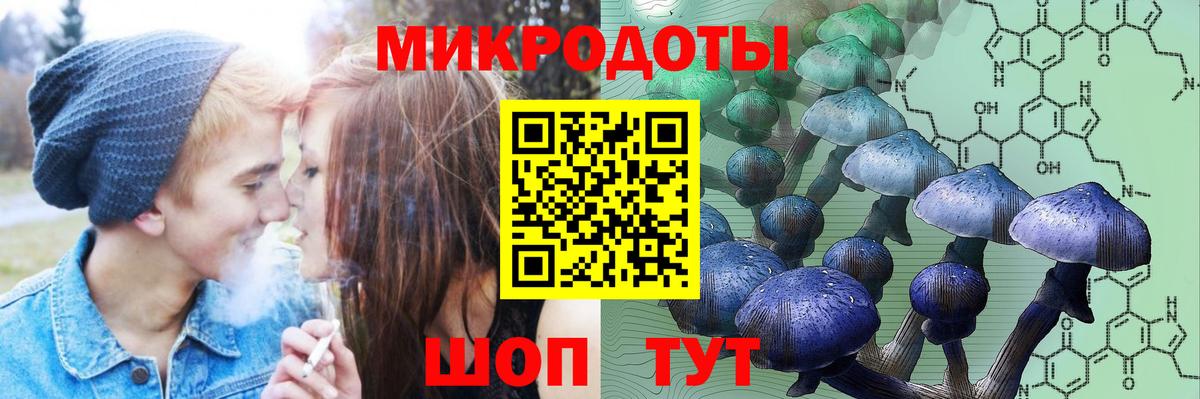 Галлюциногенные грибы Гуково